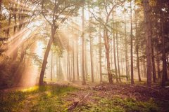 <strong>无论身处场馆的哪个角落</strong>