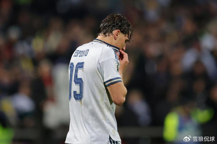 意大利点球战惨败波黑 连续三届无缘世界杯